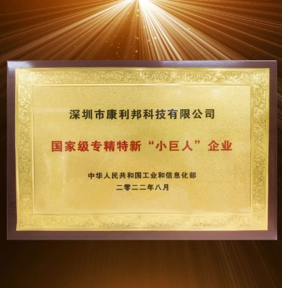 國家工信部頒發的國家級專精特新“小（xiǎo）巨人”