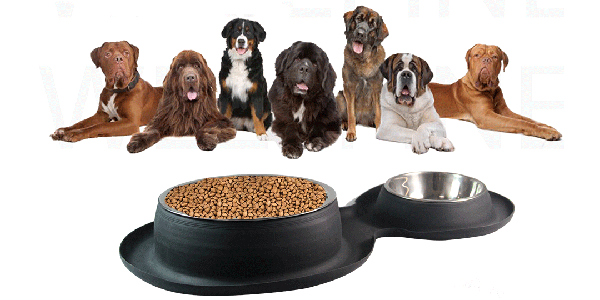 什麽膠水適合(hé)矽膠粘合(hé)不(bú)鏽鋼 什(shí)麽膠水適合(hé)矽膠粘合不鏽鋼